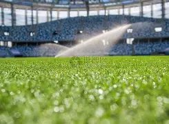 激情篮球盛,昨日,三战全胜,平博体育官网,平博体育直播,体育赛事直播,足球直播