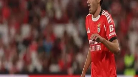 阿甲：泰格雷对阵阿根廷青年人前瞻